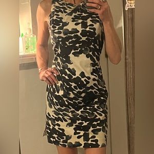 Ann Taylor Dress